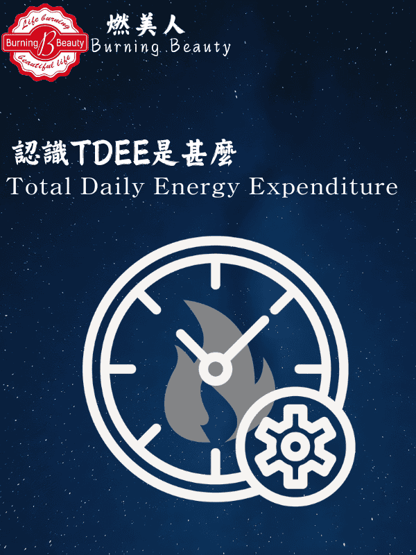 燃美人體態管理 : 認識TDEE